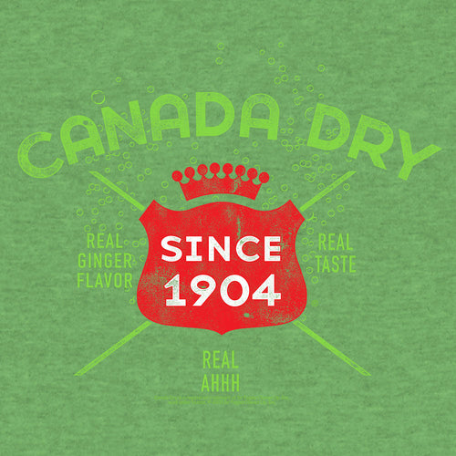Vintage Faded Canada Dry Ginger Ale T-Shirt - Heather Kelly Green by Tee Luv