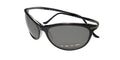 Kata Kd9 Sunglasses by ModaFrames