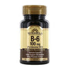 Windmill Natural Source Vitamin B-6, 100 Mg Tablets