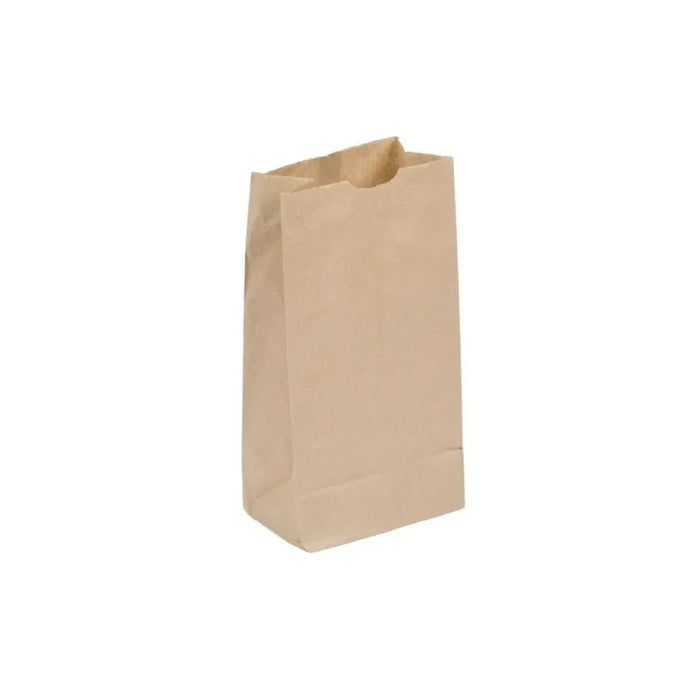 Leader Paper Flat Bottom Bag 6 Lbs 6x3.5 x11 In. 2000Ct by Pasteur Pharmacy