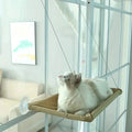 360¬∞ Cat Window Hammock: A Space-Saving Sunny Seat for Indoor Cats! by DailySale