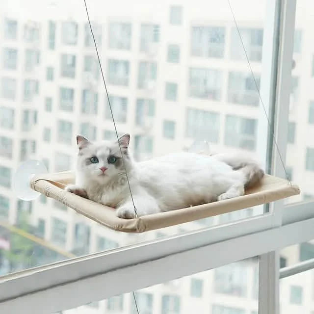 360¬∞ Cat Window Hammock: A Space-Saving Sunny Seat for Indoor Cats! by DailySale