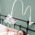 360° Rotating Universal Phone Stand with Flexible Spiral Base for Lazy Browsing by DailySale