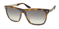 BMW 0002-H Sunglasses by ModaFrames