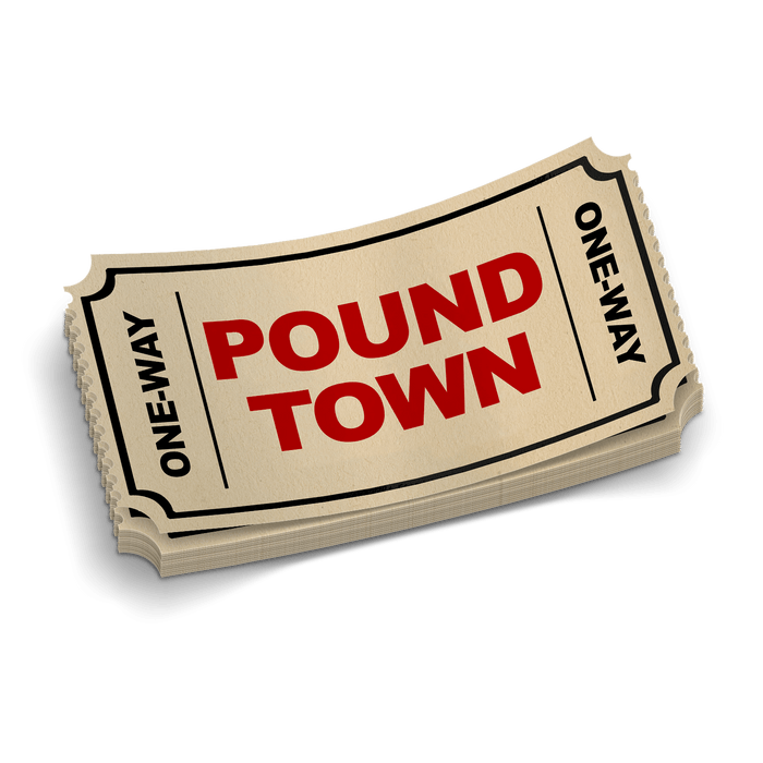 Pound Town Ticket - Hard Hat Decal by Armed American Supply