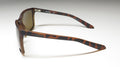 Dragon Montage Sunglasses by ModaFrames