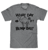 What Day Is It? Hump Day Camel T-Shirt - Gray