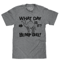 What Day Is It? Hump Day Camel T-Shirt - Gray by Tee Luv