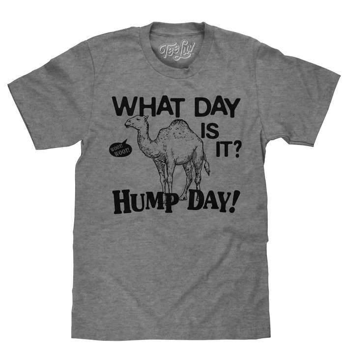 What Day Is It? Hump Day Camel T-Shirt - Gray by Tee Luv