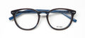Sting Vs6587 Smack 3 Eyeglasses by ModaFrames