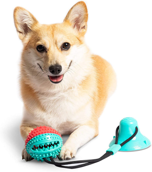 Hello Puppy Dog Chew - Puppy Dog Training Treats Teething Rope by Vanessa Jane