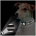Adjustable Black Nylon Collar Case for Medium Dogs - Apple AirTag by Zerodamage Sahara Case LLC