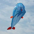 3D Kite Frameless Soft Giant and Parafoil by DailySale