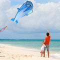 3D Kite Huge Frameless Soft Parafoil Giant Dolphin by DailySale