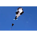 3D Whale Kite for Kids and Adults by DailySale