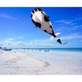 3D Whale Kite for Kids and Adults by DailySale