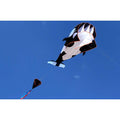 3D Whale Kite for Kids and Adults by DailySale