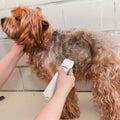 4-in-1 Electric Pet Dog Cat Grooming Kit Cordless Rechargeable by DailySale