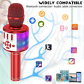 4-in-1 Karaoke Machine Microphone with LED Lights by DailySale