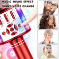 4-in-1 Karaoke Machine Microphone with LED Lights by DailySale