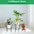 4-Pack: Iron Plotted Plant Stands by DailySale