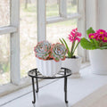 4-Pack: Iron Plotted Plant Stands by DailySale