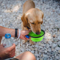 4-Pack: Silicone Collapsible Dog or Cat Food Water Bowl by DailySale