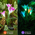 4-Pack: Solar Garden Lights Color Changing with16 Larger Lily Flowers by DailySale