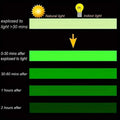 4-Pieces: Luminous Fluorescent Adhesive Tapes by DailySale
