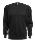 French Terry Crew 4015 by SpectraUSA