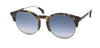 Police Spl738 Sunglasses