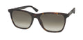 Police Spl872 Origins 1 Sunglasses by ModaFrames