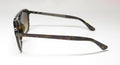 Police Spla53 Sunglasses by ModaFrames