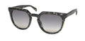 Police Spld34 Sunglasses by ModaFrames