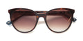 Yalea Sya033 Steffi Sunglasses by ModaFrames