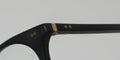 Harry Lary's Frenzy Eyeglasses by ModaFrames
