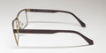 Czone E5201 Eyeglasses by ModaFrames