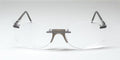 Andy Wolf Zariah Eyeglasses by ModaFrames