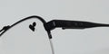 Flexon Shinola 21000 Eyeglasses by ModaFrames