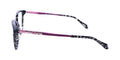 Just Cavalli Vjc008 Eyeglasses by ModaFrames