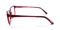 Morel Nomad 2938n Eyeglasses by ModaFrames