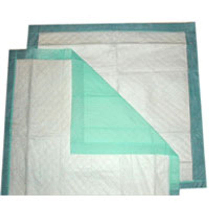 Buddies #6010 Premium Underpads – 30 x 35.5 Inch – Extra Large Disposable Absorbent Pads by Pasteur Pharmacy