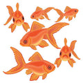 Wallies 13622 Goldfish Self-Adhesive Vinyl Coated Paper Design by Vanessa Jane