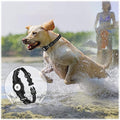 Adjustable Black Nylon Collar Case for Large Dogs - Apple AirTag by Zerodamage Sahara Case LLC