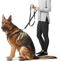 5 Foot Padded Single Handle Dog Leash by DailySale