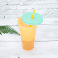 5-Pack: Colorful Drinking Cup with Lid and Straw by DailySale