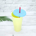 5-Pack: Colorful Drinking Cup with Lid and Straw by DailySale