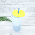5-Pack: Colorful Drinking Cup with Lid and Straw by DailySale