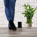 5-Pairs: No Show Bamboo Socks for Men by DailySale