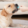 5-Pieces: Super Soft Pet Finger Toothbrush Teeth Cleaning Silicone Tooth Brush by DailySale